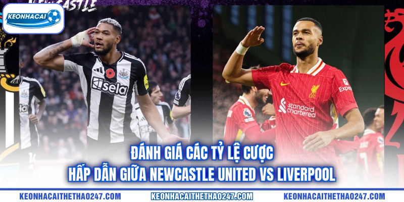 Đánh giá các tỷ lệ cược hấp dẫn giữa Newcastle United vs Liverpool Đánh giá các tỷ lệ cược hấp dẫn giữa Newcastle United vs Liverpool