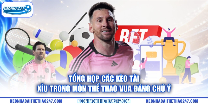 Tổng hợp các kèo tài xỉu trong môn thể thao vua đáng chú ý Tổng hợp các kèo tài xỉu trong môn thể thao vua đáng chú ý