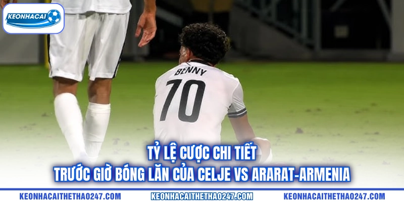 Tỷ lệ cược chi tiết trước giờ bóng lăn của Celje vs Ararat-Armenia