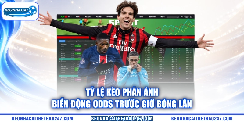 Tỷ lệ kèo phản ánh biến động odds trước giờ bóng lăn Tỷ lệ kèo phản ánh biến động odds trước giờ bóng lăn