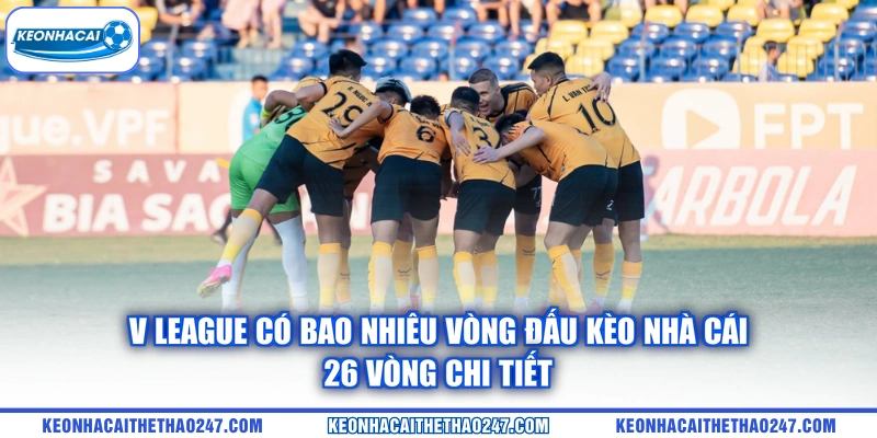 V League Có Bao Nhiêu Vòng Đấu kèo nhà cái | 26 Vòng Chi Tiết